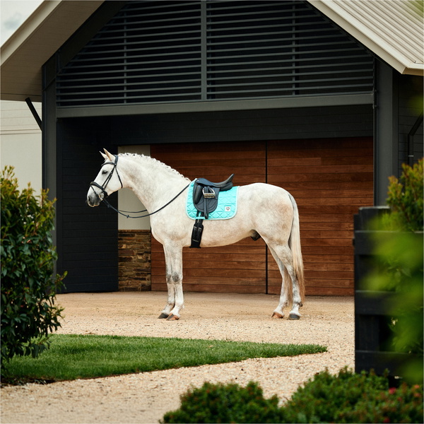 2026 WeatherBeeta Satin Luxe Air-Tec Dressage Saddle Pad 1030348001 - Aqua